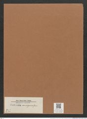 Navicula sausegana Grun. (de-Toni-Nr.: Genus 1, Species 311) Zeichnungen Sammlung Grunow Mappe 00266 (Herbarium_W_Grunow_drawings_Folder_00266)